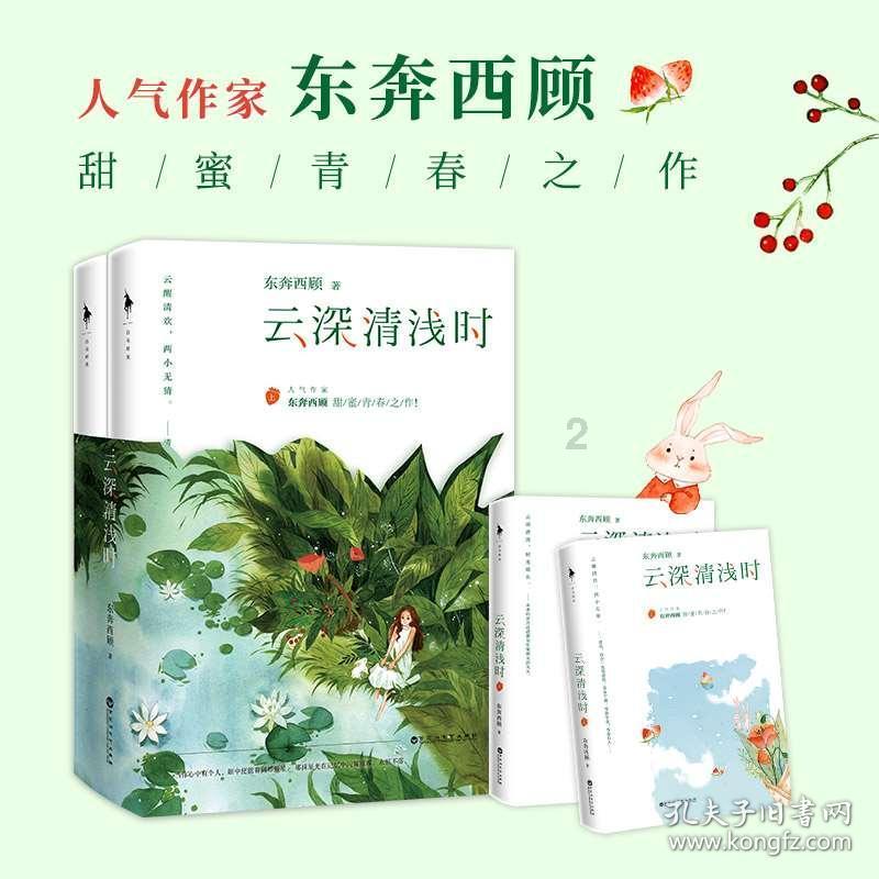 以撒的结合：胎衣